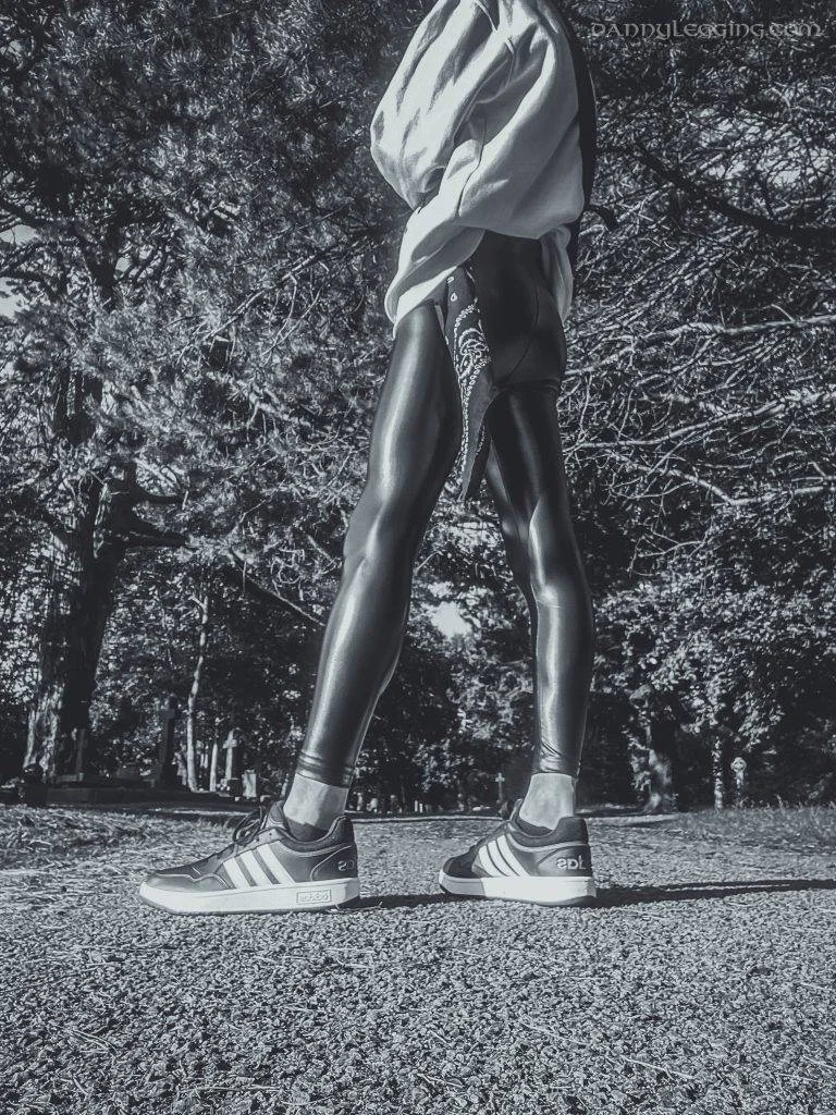 dannylegging, leggings